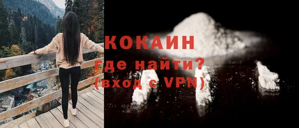 индика Кулебаки