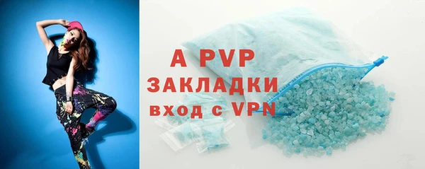 индика Кулебаки