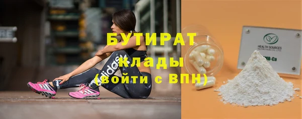 индика Кулебаки