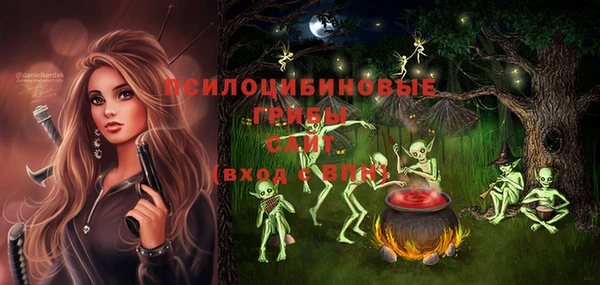 индика Кулебаки