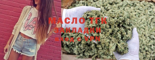 индика Кулебаки