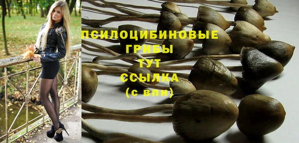 индика Кулебаки