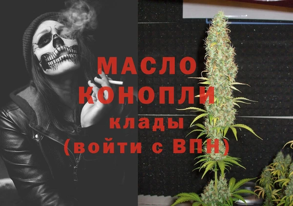 индика Кулебаки