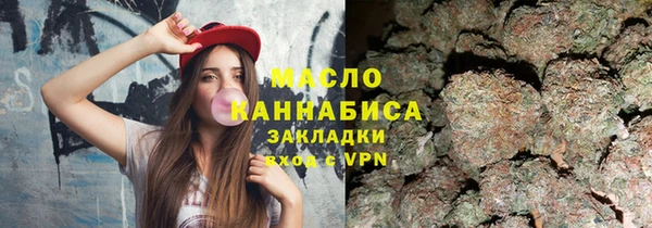индика Кулебаки