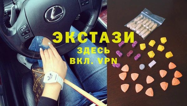 индика Кулебаки