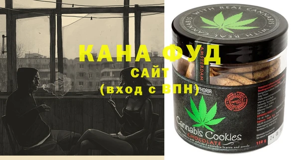 индика Кулебаки