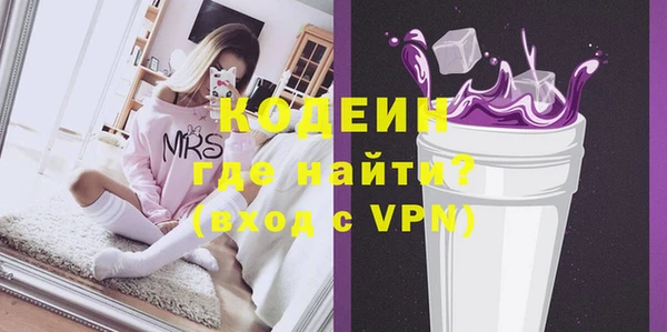 индика Кулебаки