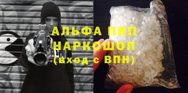 индика Кулебаки