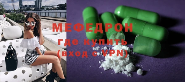 индика Кулебаки