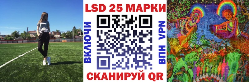 где найти наркотики  Шарья  Марки NBOMe 1500мкг 