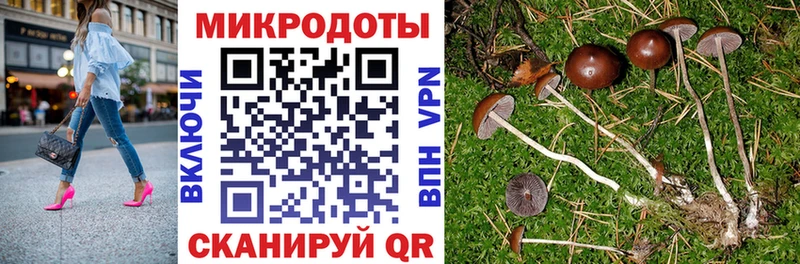 Галлюциногенные грибы Cubensis  Шарья 
